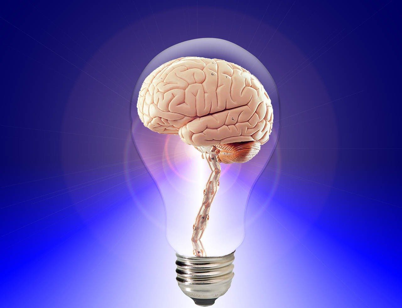 Top 10 Favorite Articles on Innovation